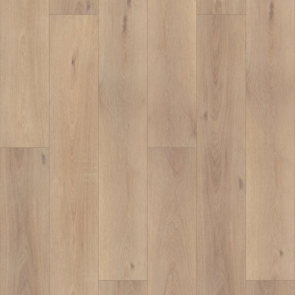 Ravenswood Oak